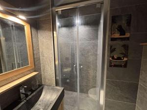 a shower with a glass door in a bathroom at Appartement rénové 3 pièces, Alpe d'Huez, balcon, parking - FR-1-405-375 in L'Alpe-d'Huez +7 photos