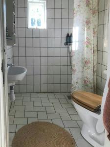 Historic Manor House At Gelskov Estate في Sandholts-Lyndelse: حمام مع مرحاض ومغسلة