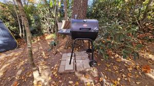 una parrilla de barbacoa colocada sobre un soporte en el bosque en Treehouse Glamping in Boone, NC, en Moretz