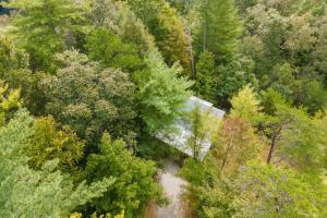 an overhead view of a road in the middle of a forest at Pet-Friendly Tiny Cabin - Pine Point in Pine Ridge