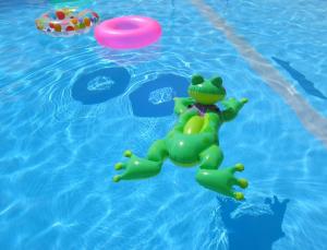 una rana de juguete en una piscina con un frisbee en Basque Palace, Mansion con Jardín, Barbacoa, Gimnasio, Piscina, Sauna, en Mungia