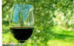 una copa de vino tinto en una mesa en Basque Palace, Mansion con Jardín, Barbacoa, Gimnasio, Piscina, Sauna, en Mungia 117 fotos más