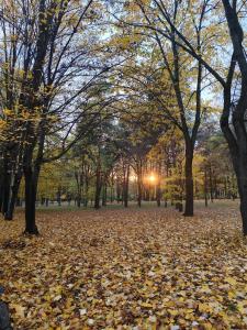 Příroda nedaleko apartmánu + 27 fotografií