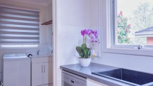 una cocina con un jarrón de flores en un mostrador en Rent Melbourne, en Melbourne 34 fotos más