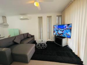 TV a/nebo společenská místnost v ubytování Cosy Studio