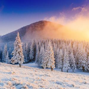 a group of snow covered trees in front of a mountain at DAY DREAM HOUSE! Great value for price! in Breaza