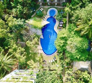 an overhead view of a swimming pool in a park at Sundaras Infinity Jungle Resort & Spa in Dambulla
