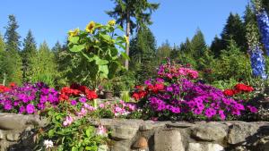 Galeriebild der Unterkunft A Hidden Haven Cottages in Port Angeles + 52 Fotos