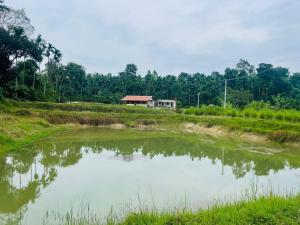 Φυσικό τοπίο κοντά σε αυτό το δωμάτιο σε οικογενειακή κατοικία