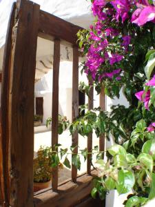 Zahrada ubytování Agroturismo Can Pardal