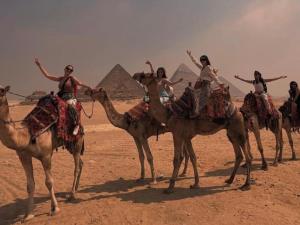 a group of people riding on camels in front of pyramids at Falcon pyramids inn in Cairo