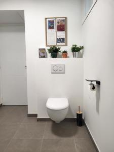 Un baño blanco con inodoro y algunas plantas. en Plain-pied - Centre ville - Jardin au calme, en Béthune 20 fotos más