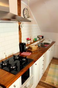 a kitchen with a stove and a sink at Apartament Margarita in Mrągowo