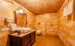 een badkamer met een wastafel en een toilet bij The Saipura Bagh Resort-Jaipur in Jaipur