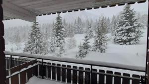 Casina Alpina sugli impianti Passo S Pellegrino v zimě