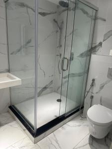 eine Duschkabine im Bad mit WC in der Unterkunft Apartment f2 in Hydra