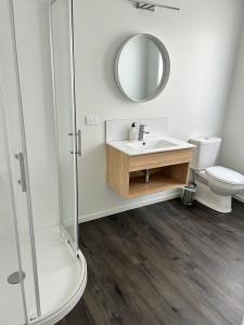 a bathroom with a toilet and a sink and a mirror at Bay Vista - glorious Golden Bay Ocean Views in Pohara