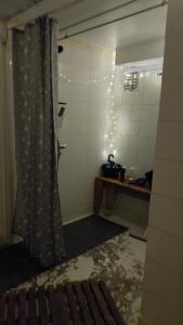 索特卡莫Arctic Landhaus的浴室设有淋浴和窗帘