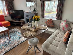 Χώρος καθιστικού στο Stunning Pet Friendly 2 bed StaticCaravan in Clarach Bay 2017 model