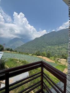 Příroda nedaleko hotelu