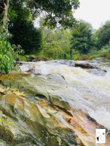 einem Wasserfall auf einem Fluss mit Bäumen im Hintergrund in der Unterkunft Coffee Voyages in Madikeri