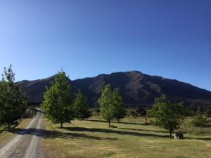 a dirt road with trees and mountains in the background at hawea river retreat in Albert Town