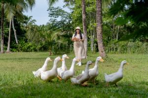 a woman standing next to a group of ducks in the grass at Blu Monkey Pooltara Krabi Hotel & Villas Pet Friendly in Tha Lane Bay +67 photos