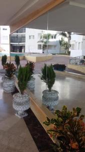 Zahrada ubytování BOUZNIKA K1