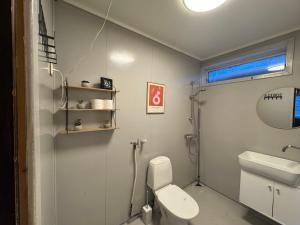 a bathroom with a white toilet and a sink at Modern Apartment in Nature Mountain Views & Peaceful Setting in Oldervik +37 photos