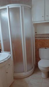 a bathroom with a shower and a toilet and a sink at El Paraiso de Pepa in Castellón de la Plana +28 photos