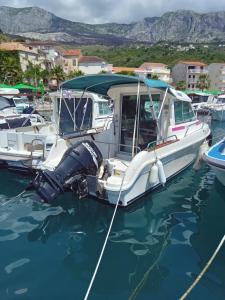 ein weißes Boot ist im Wasser angedockt in der Unterkunft Harbour-side Apartment with Beautiful Terrace in Podgora