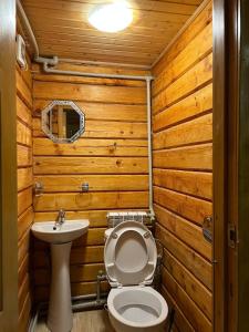 a bathroom with a toilet and a sink at Лісова тиша Сімейні номера in Synevyrsʼka Polyana