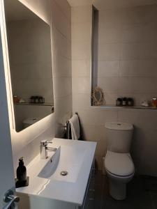 FernsにあるRoom with rural viewsの洗面台、トイレ、鏡のあるバスルーム