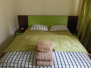 a bed with a green headboard and a pink chair at Spital 1 cameră studio in Târgu-Mureş