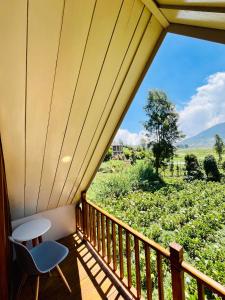 Μπαλκόνι ή βεράντα στο Cabin Veri Dieng By Villafamilyhouse
