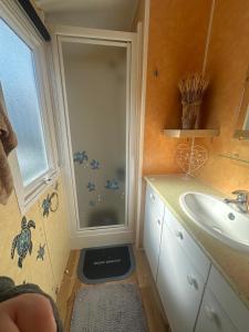 a bathroom with a shower and a sink at Fantastic house in Aldeia Nova +14 photos