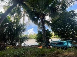 un barco azul atracado junto a una palmera en Kuma Surf Camp Hostel, en Weligama