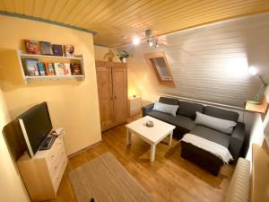 a living room with a couch and a tv at Ferienhaus Robin in Titisee-Neustadt