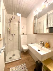a bathroom with a shower and a sink and a toilet at Ferienhaus Robin in Titisee-Neustadt