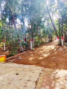 a dirt road with trees on the side of it at Deepdaya Cottage in Alibag