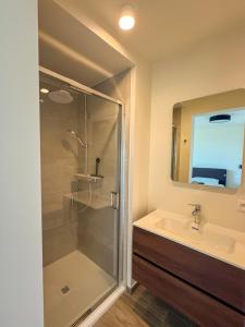 a bathroom with a shower and a sink at Sotteveld in Zwalm