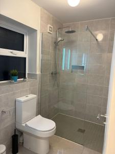 ein Bad mit einer Dusche, einem WC und einer Duschkabine aus Glas in der Unterkunft Patsys Cottage in Ballyshannon