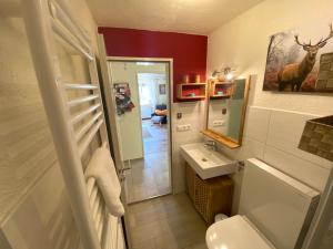 a bathroom with a white toilet and a sink at Ferienhaus Robin in Titisee-Neustadt +63 photos