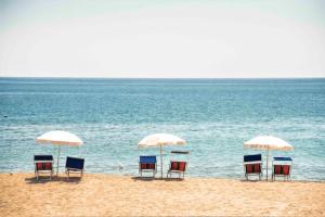 Phong cảnh thiên nhiên gần căn hộ