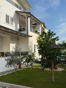 KamëzGuest House White Villa的前面有橘子树的房子