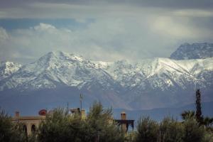 Gallery image of Domain The blaze in Marrakech