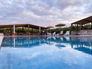 a large swimming pool with chairs and umbrellas at Domain The blaze in Marrakesh