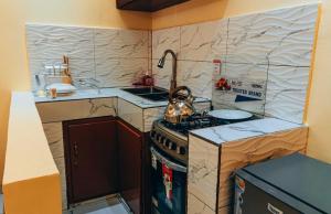 Η κουζίνα ή μικρή κουζίνα στο Les Résidences Davina Hope