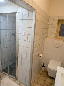 a bathroom with a shower and a toilet at Voll eingerichtete Wohnung in Geilenkirchen in Geilenkirchen +5 photos