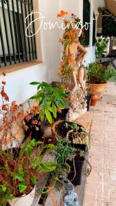 MatolaにあるCa Didiの鉢植えの群れ +4枚の写真